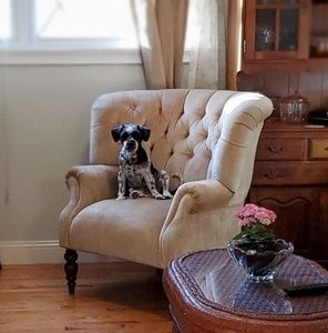 Meet your Posher, Maryfrances